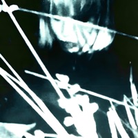 MOONLIGHT - Single - DARKSXUL