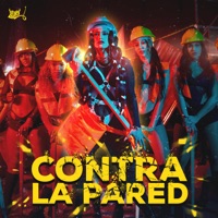 Contra La Pared - Single - Zuka