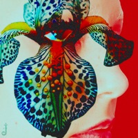 This Is A Kindness - Julia Pratt & JULITH