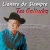NO ME VAN A VER LLORAR