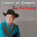 NO ME VAN A VER LLORAR
