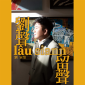 心刻盤 (民視「豆腐媽媽」片頭曲) song art