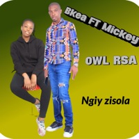 Ngiy zisola (feat. MICKEY OWL RSA) - Single - Bkea