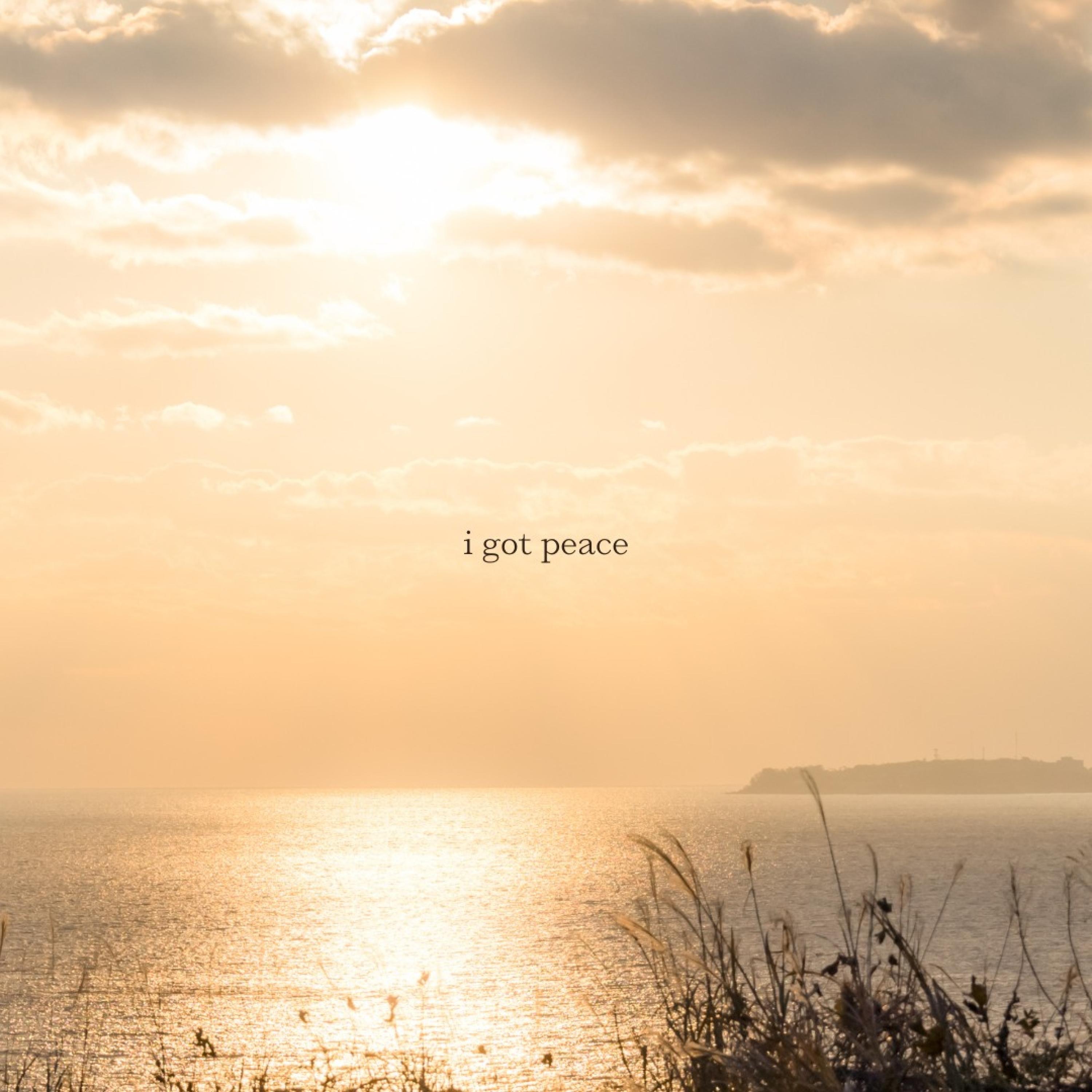 i got peace - Single