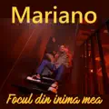 Focul Din Inima Mea