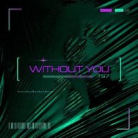 Without You - Single - TS7