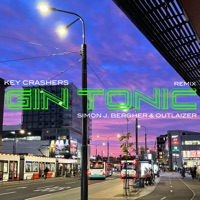 Gin Tonic (Simon J. Bergher & Outlaizer Remix) - Single - Key Crashers