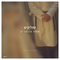 תהליכים - Single - Simcha Abramczik