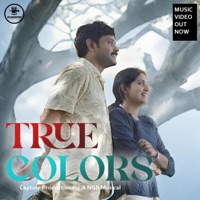 True Colors (feat. Sudheesh Sasikumar & Rajeesh Devaragam) - Single - NGR Vinayak S Karun