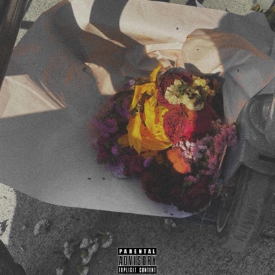 No Te Puedo Olvidar Ft Huafflo (feat. Lic Dabi) - Single