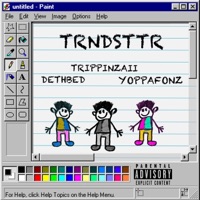 TRNDSTTR (feat. Dethbed & YoppaFonz) - Single - Trippinzaii