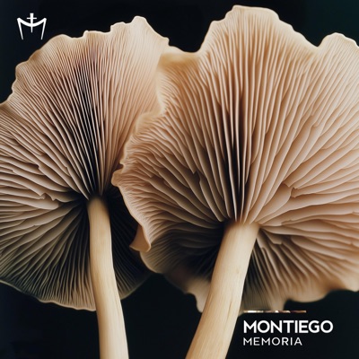 Memoria - Single