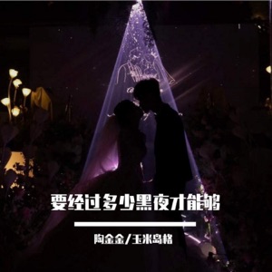 要经过多少黑夜才能够 - Single