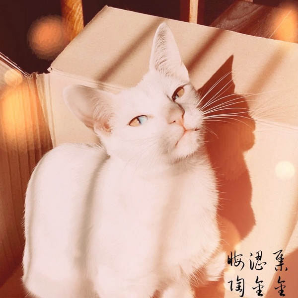 晦涩集 - Single