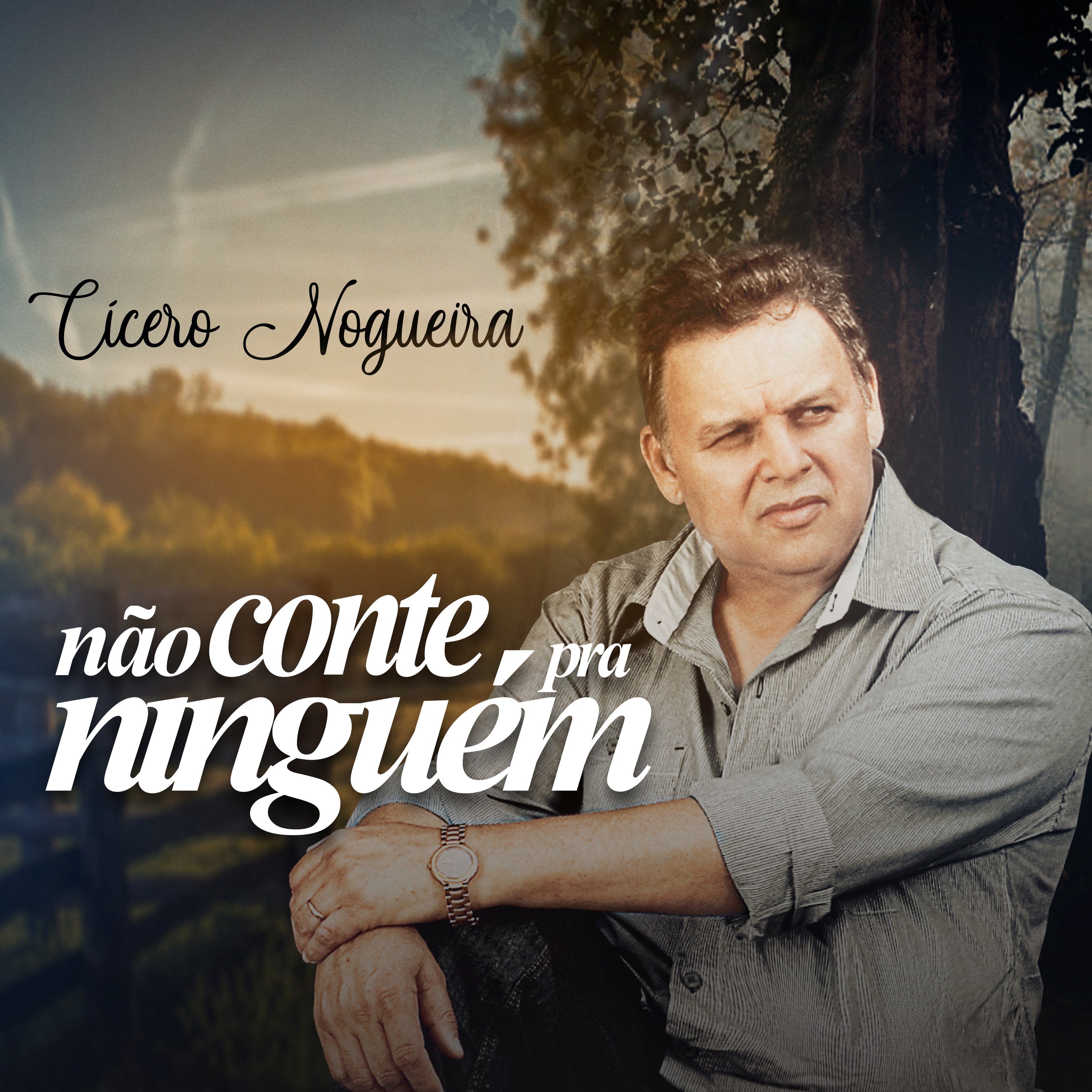 Não Conte pra Ninguém - Single