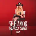 Se E Amor Nao Sei