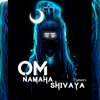 Om Namah Shivaya - Jainen