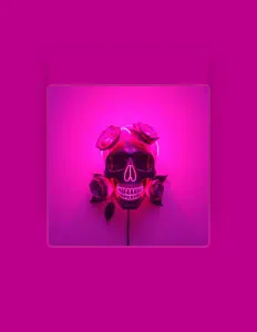 DJ DEEP MIXを聴いたり、ミュージックビデオを鑑賞したり、経歴やツアー日程などを確認したりしましょう！