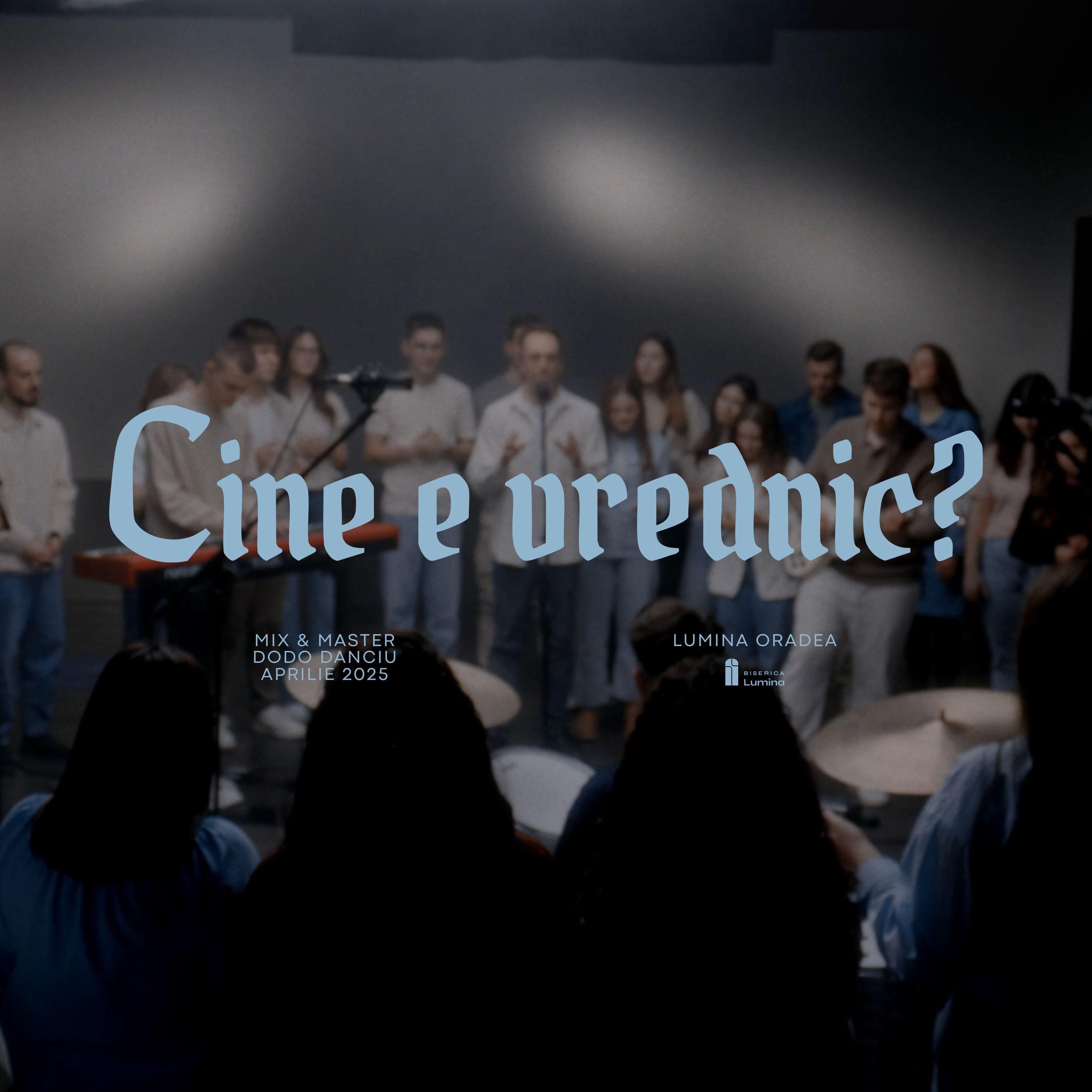 Cine e vrednic? - Single