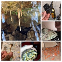 Kangaroo toolie (xo coors light) - Single - Ruski 223