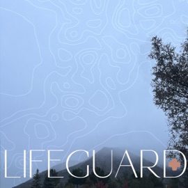 lifeguard (feat. blackwinterwells) cheeto