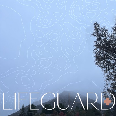 lifeguard (feat. blackwinterwells) - Single