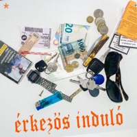 Érkezős Induló - Single - Duckshell