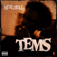 Tems - Single - Mitchell