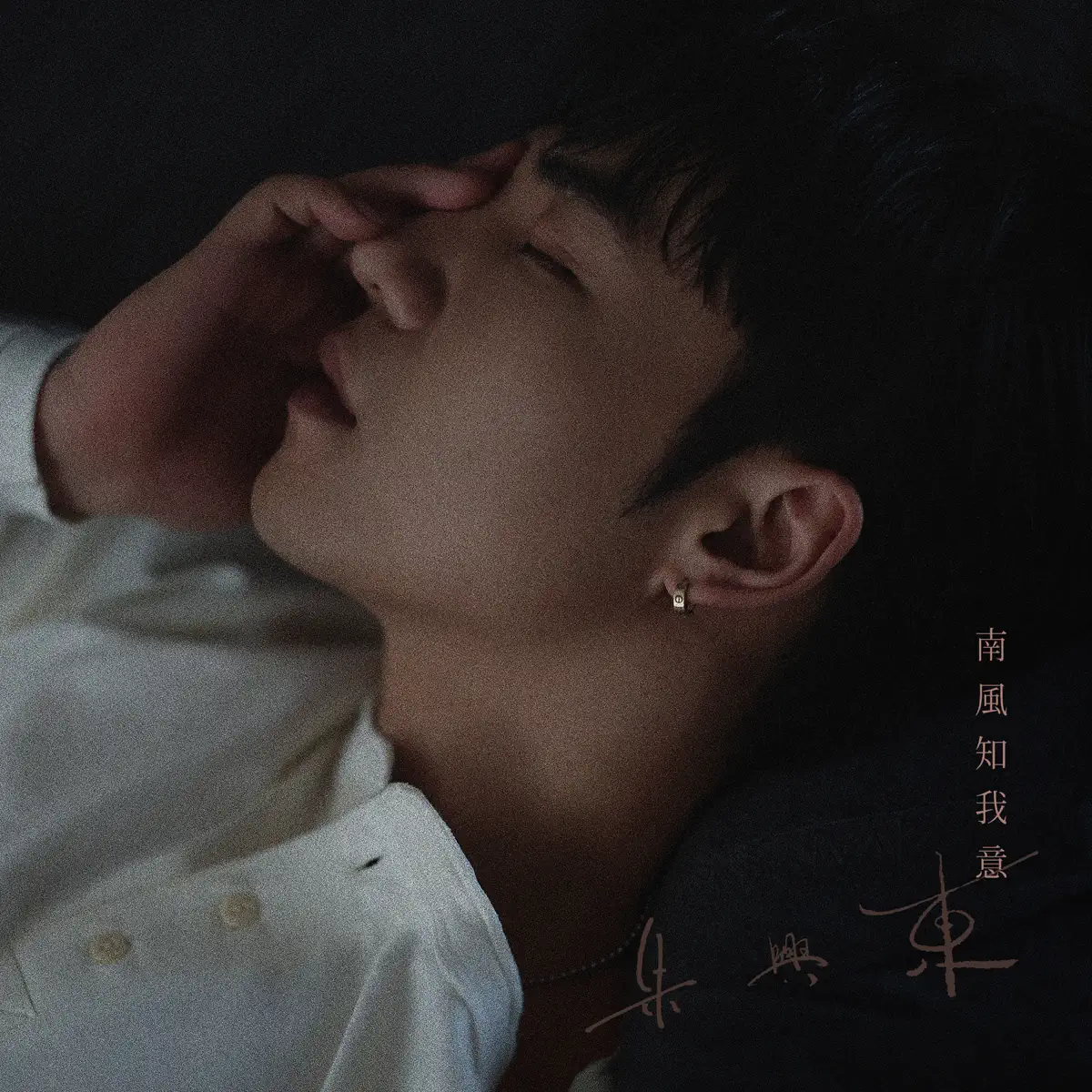 朱興東 - 南風知我意 - Single (2024) [iTunes Plus AAC M4A]-新房子