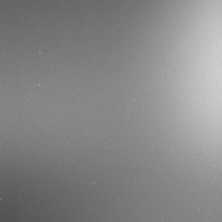 threat (feat. PRB lou) - Single - Walkdowndre