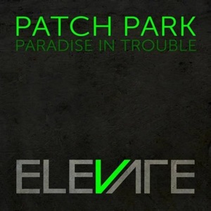 Paradise in Trouble - Single