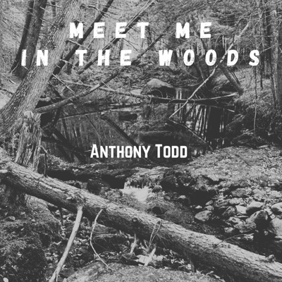 Meet Me In The Woods - Single