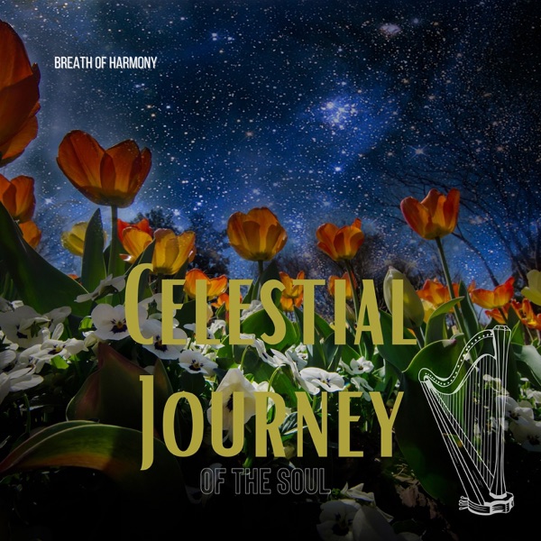 Celestial Journey of the Soul