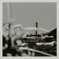 whitewash - Single - Bastido