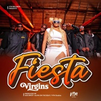 Fiesta (feat. Neuborn, ALVIN ON THE B3AT, Bridgette Mars, Leo KIG, Its Berlin, Daniel Seasonz, Ayma, dhaqchyld & Gidi Bwoy) - Single - VTM Records