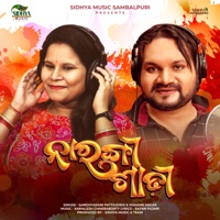 Narangi Sadhi - Single - Sandhyarani Pattajoshi & Humane Sagar