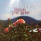 Red Is the Rose Single