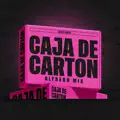 CAJA DE CARTON