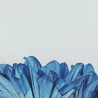 garden - Single - sove