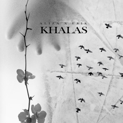 Khalas (feat. AliZA) - Single