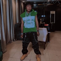 Shallipopi type beat - Single - Chris Melo