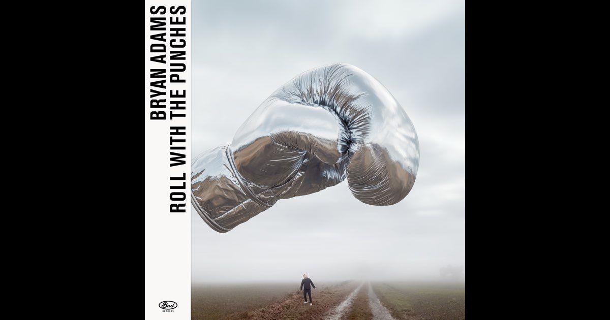 Roll With The Punches - Bryan Adams