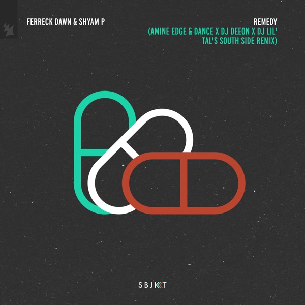 Remedy (feat. Shyam P) [Amine Edge & Dance X DJ Deeon X DJ Lil'tal's South Side Remix] - Single