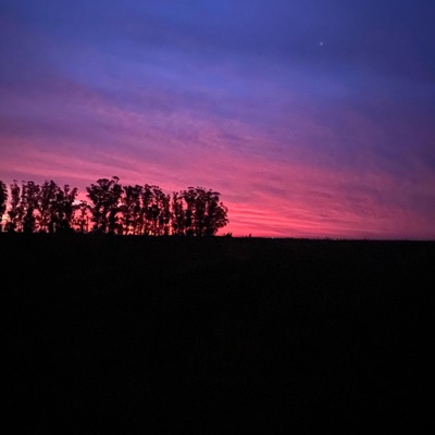 Alejados del c.a.o.s (feat. Mane ysc) - Single