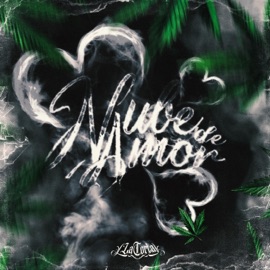 Nube De Amor La Corta