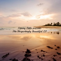 The Disgustingly Beautiful - Timmy Little