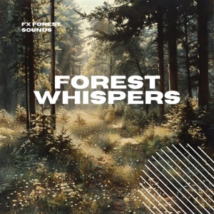 Forest Whispers: Gentle Woodland Sounds