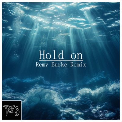 Hold on (feat. DaRii & RemyBurke) [Remix] - Single