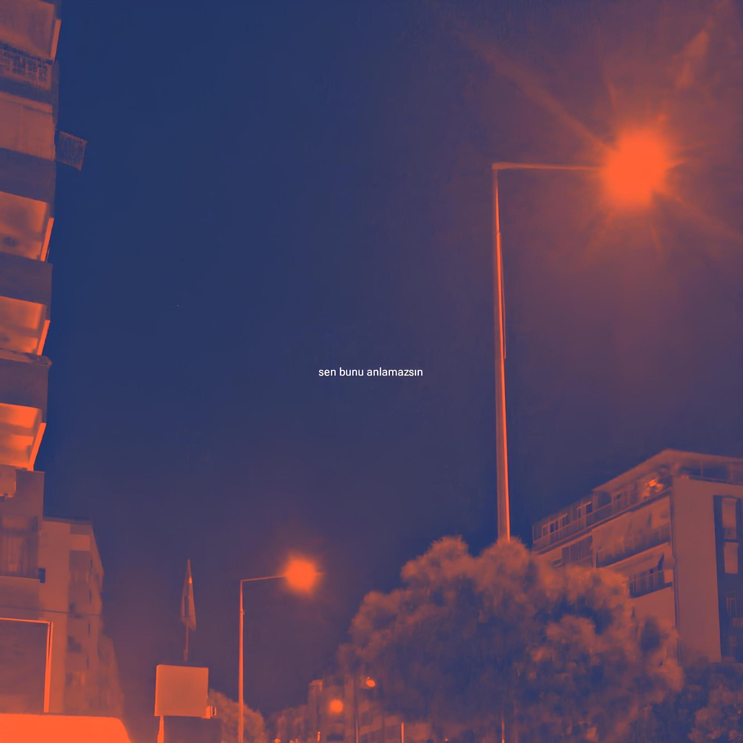 sen bunu anlamazsın - Single