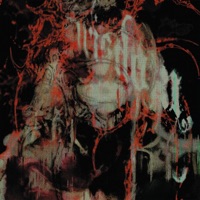 it cant get any worse than this - Single - bliiiss